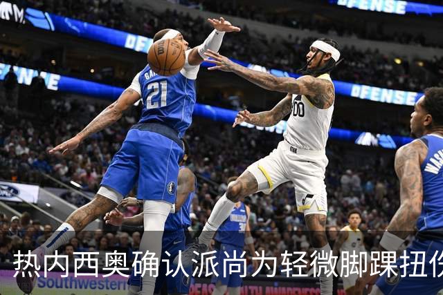 热内西奥确认派尚为轻微脚踝扭伤，暂无进一步消息